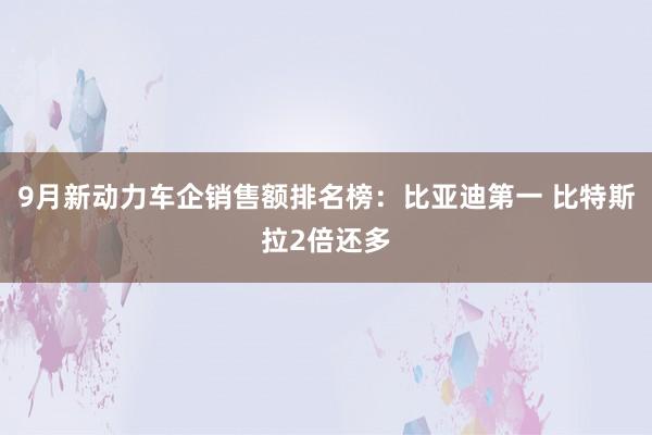 9月新动力车企销售额排名榜：比亚迪第一 比特斯拉2倍还多