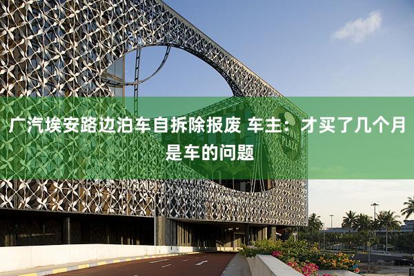 广汽埃安路边泊车自拆除报废 车主：才买了几个月 是车的问题