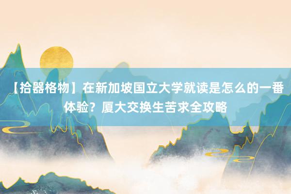 【拾器格物】在新加坡国立大学就读是怎么的一番体验？厦大交换生苦求全攻略