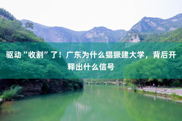 驱动“收割”了！广东为什么猖獗建大学，背后开释出什么信号