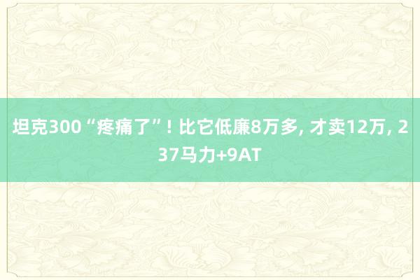 坦克300“疼痛了”! 比它低廉8万多, 才卖12万, 237马力+9AT