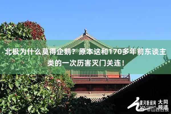 北极为什么莫得企鹅？原本这和170多年前东谈主类的一次历害灭门关连！