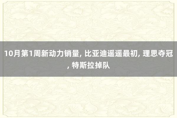 10月第1周新动力销量, 比亚迪遥遥最初, 理思夺冠, 特斯拉掉队