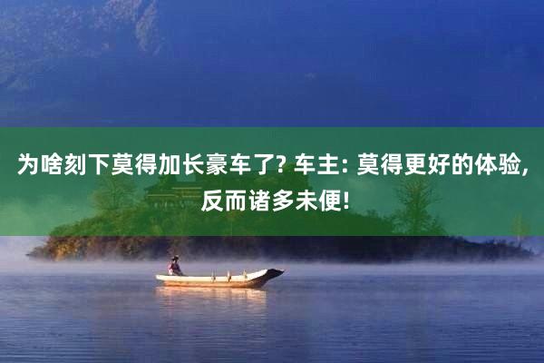 为啥刻下莫得加长豪车了? 车主: 莫得更好的体验, 反而诸多未便!
