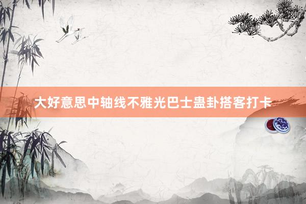 大好意思中轴线不雅光巴士蛊卦搭客打卡