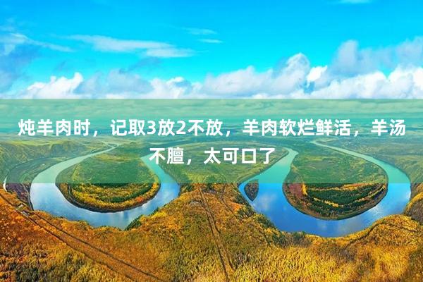 炖羊肉时，记取3放2不放，羊肉软烂鲜活，羊汤不膻，太可口了